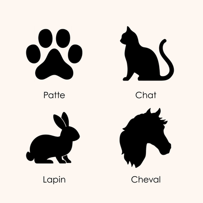 Étoile de Noël en bois personnalisée - Animal de compagnie